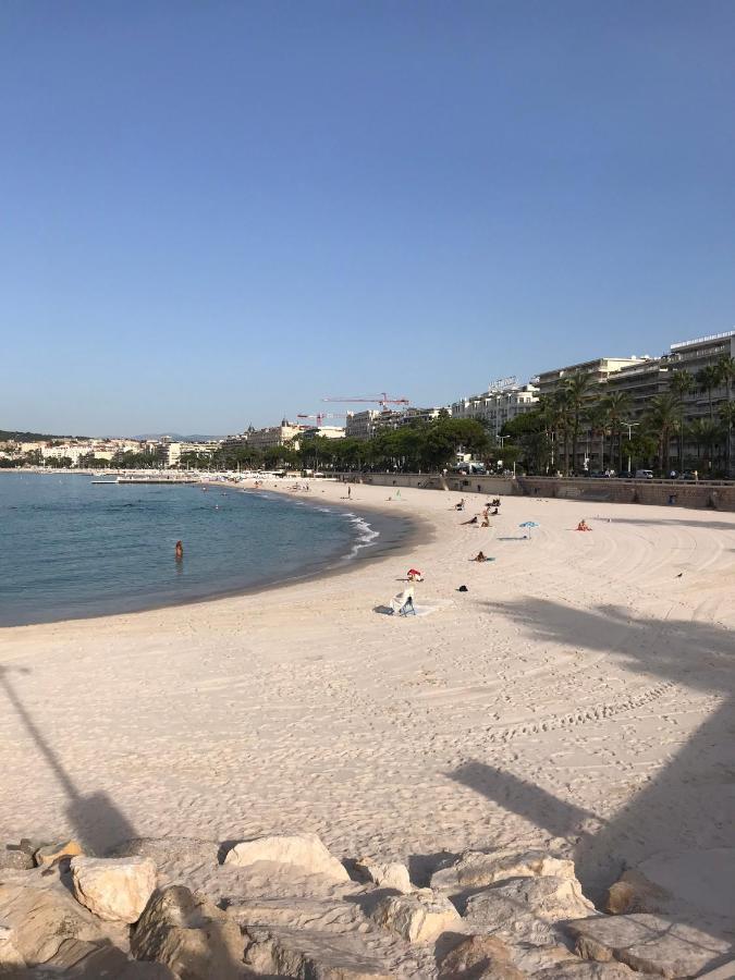 Tres Beau T2 Dans Parc Montfleury ,Proche Centre ,Au Calme 44 Bd Montfleury Cannes Exterior foto