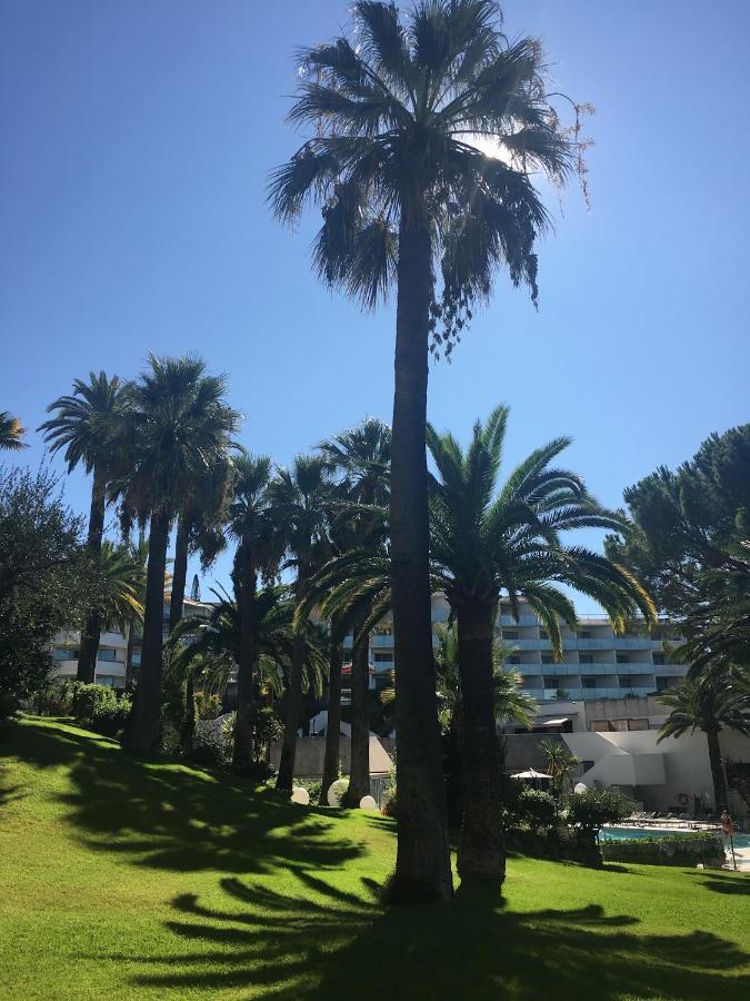 Tres Beau T2 Dans Parc Montfleury ,Proche Centre ,Au Calme 44 Bd Montfleury Cannes Exterior foto