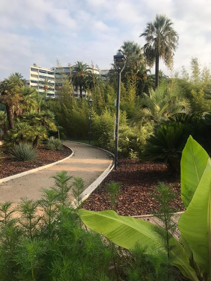 Tres Beau T2 Dans Parc Montfleury ,Proche Centre ,Au Calme 44 Bd Montfleury Cannes Exterior foto